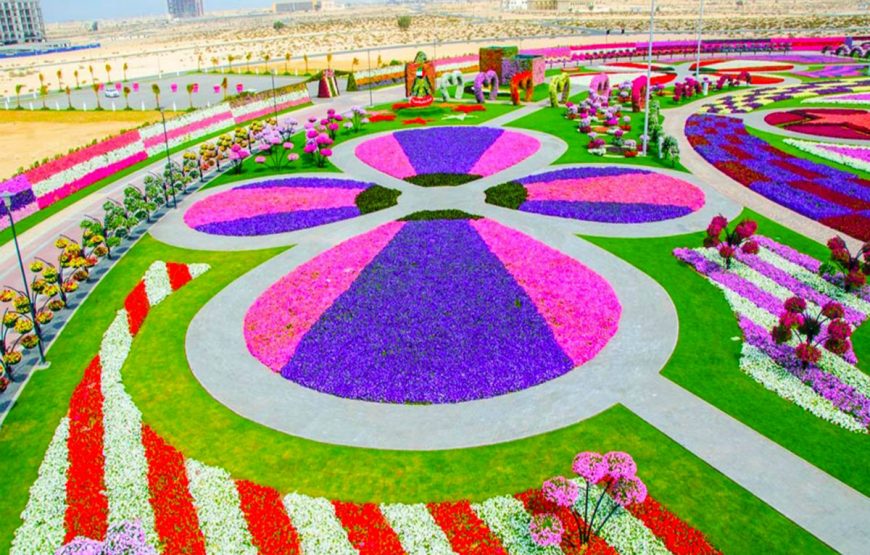 Explore Dubai