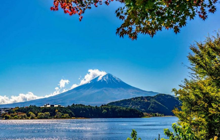 Explore Golden Route Japan | 7 Days Itinerary