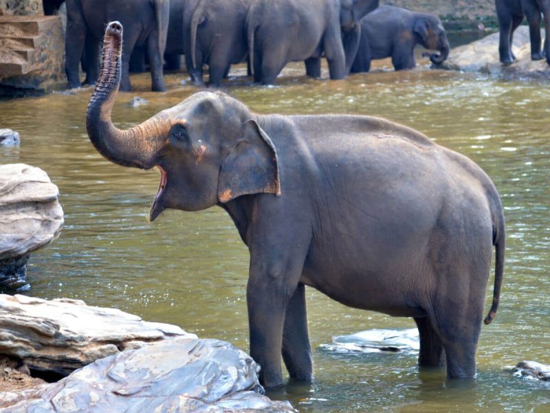 Colombo Marvels Trip Package