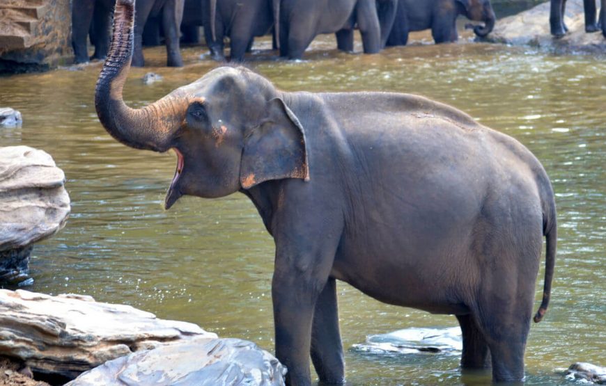 Beautiful Sri Lanka