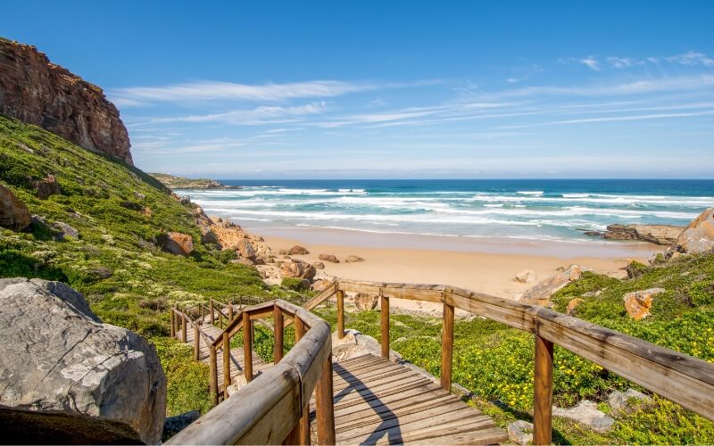 South Africa Honeymoon Packages