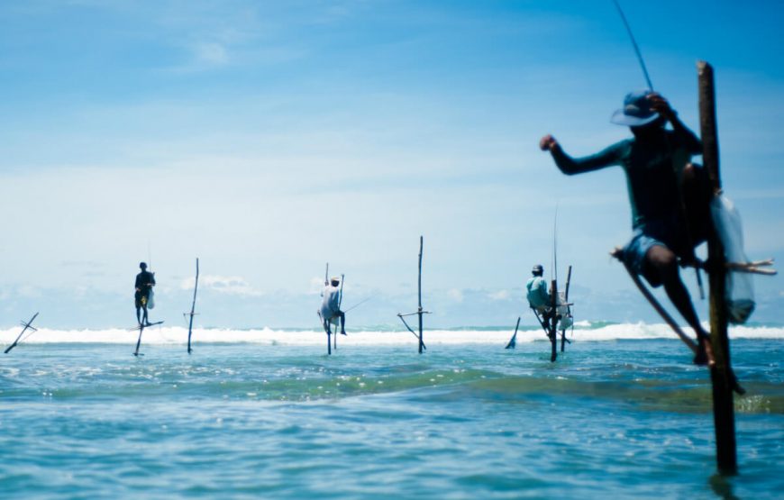 Beauty of Sri Lanka Holiday Package