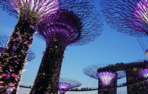 Singapore with Bali