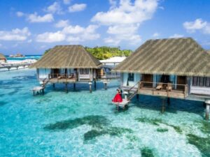 Exotic Retreat at South Palm Resort