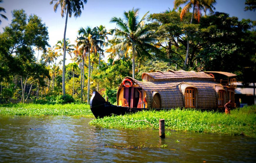Escape to Wayanad