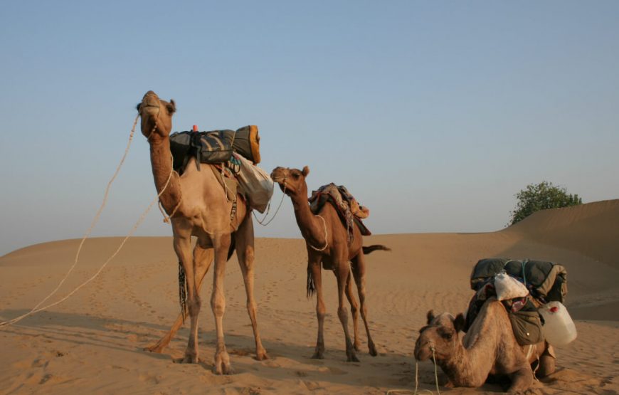 Regal Rajasthan Special Holiday Package
