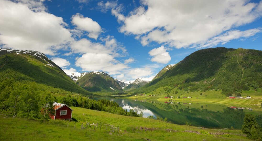 Scandinavian